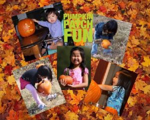 pumpkin-patch-fun-with-lee-loo